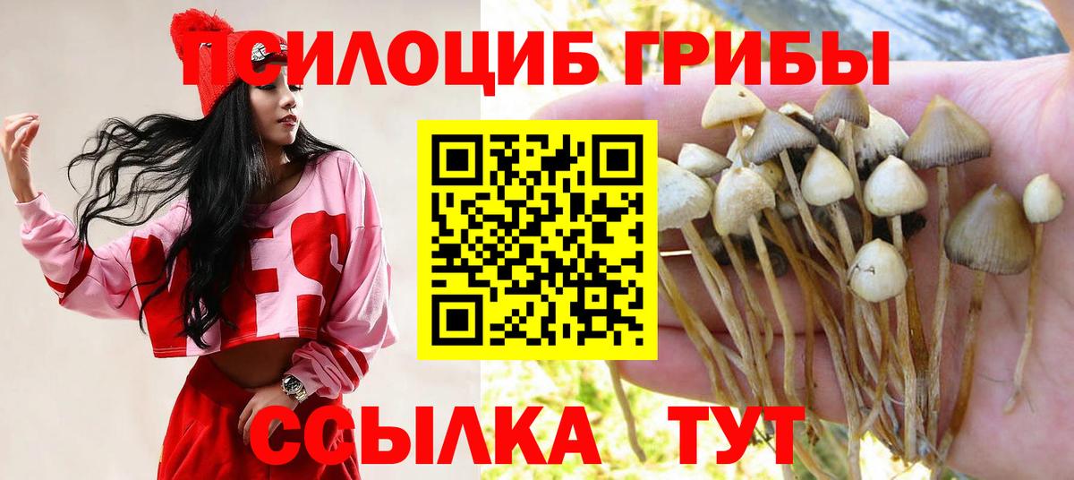 Псилоцибиновые грибы Psilocybine cubensis  Вход с VPN  Псилоцибиновые грибы Psilocybine cubensis  Мытищи 